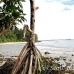 nusalavu_h_0705_0081.jpg
